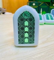প্লাগ-ইন কুরআন